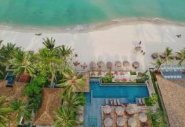 Banana Fan Sea Samui