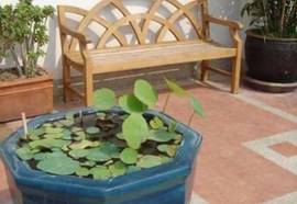 Rambuttri Village Inn & Plaza