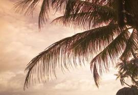 Rummana Boutique Resort