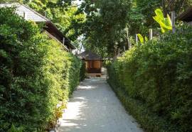 The Treasure Koh Madsum