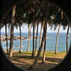 Туры в Шри Ланку, в отели 4*, для 2 взрослых, май 2024 - Turtle Bay Boutique Hotel