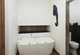 Aliya Resort and Spa