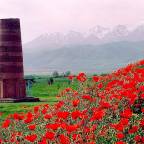 Туры в Киргизию, в отели 4*, для 2 взрослых, на 9 дней 2024 - Garden hotel Bishkek