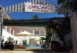 Orchid Guesthouse
