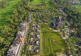 Visesa Desa Ubud