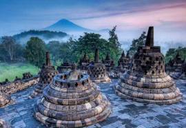 Swan Paradise A Pramana Experience