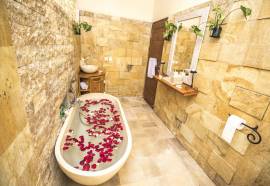 Junjungan Ubud Hotel & Spa