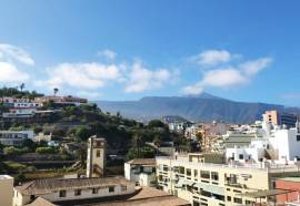 DWO Nopal by Checkin