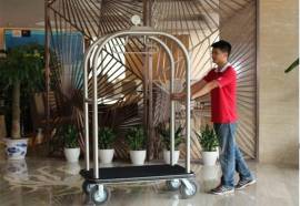 Haikou St.Fleur Conifer