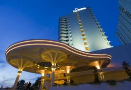 Flamingo By The Beach