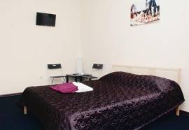 Демократ на Невском 95