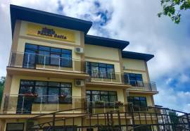 AMIGO Panna-Cotta (Амиго Панна Котта)