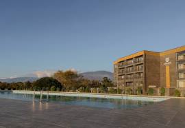 Абаата Пицунда