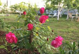 Гостевой дом Сияние солнца Б/К