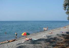 Эвкалиптовая Роща Пансионат