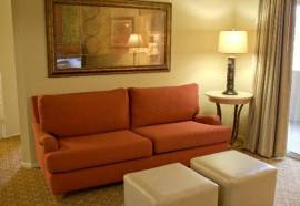 Desert Paradise Resort