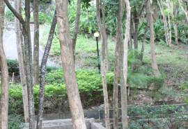 Baan Suan Sook Resort