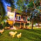 Премиальные горящие туры в Таиланд в отели 1*, 2*, 3* для 2 взрослых на 10 дней на май 2026 - The One Cozy Vacation Residence