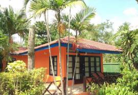 Tradewinds by LAWANA