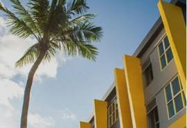 The Sunflower Holiday Hostel