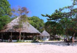 The Tropical Beach Resort