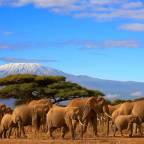 Горящие туры в Танзанию, в лучшие отели, для 2 взрослых 2024 - Oleza