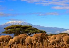 Riu Palace Swahili Adults Only