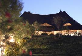 Coral Reef Beach Resort