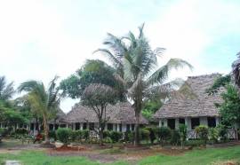 Kobe Bungalows Nungwi