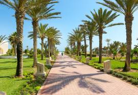 Riu Palace Royal Garden