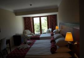 Gural Harlek Thermal Resort & Spa