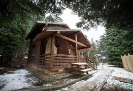 Karinna Orman Koskleri