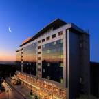 Премиальные туры в Анкару Турцию в лучшие отели 5* для 2 взрослых от Travelata на новый год 2025 - Latanya Hotel Ankara