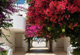 Zemda Hotel Gumusluk