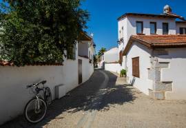 Teos Ormanci Tatil Koyu