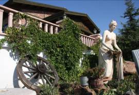 CLUB AFRODIT TATIL KOYU