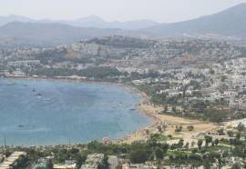 Bodrum Yalikavak Olive Tree Apart