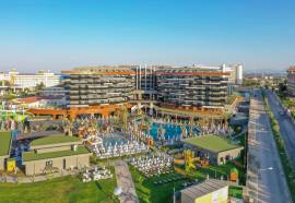 Calyptus Kirman Premium