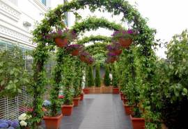 Malta Bosphorus Hotel