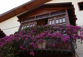 Villa Daffodil Hotel