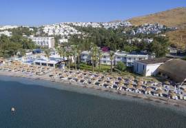 Palmet Family Bianco