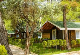 Green Pine Beach & Bungalows