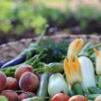 Горящие туры в Мармарис Турцию из Волгограда для 2 взрослых 2026 - Golden Key Bordubet