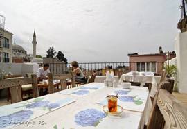 Hotel Tulip House