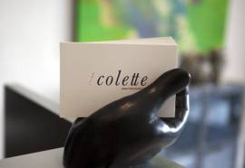 Hotel Colette