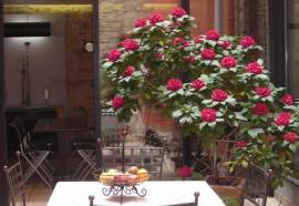 Inter-Hotel au Patio Morand