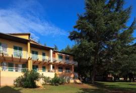 Apartments Polynesia Plava Laguna