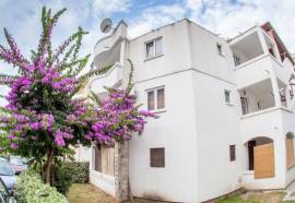 Guest House Violet