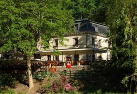 Male Versailles