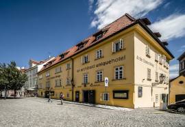 Archibald At The Charles Bridge